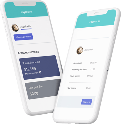 brightwheel payments and account summary view on mobile