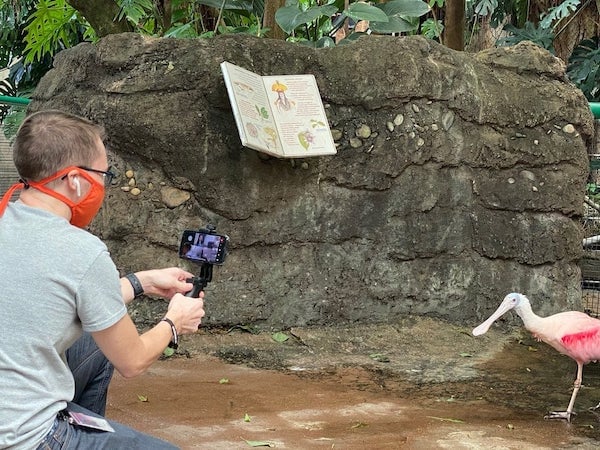 A national zoo employee films content for the virtual field trip experience.