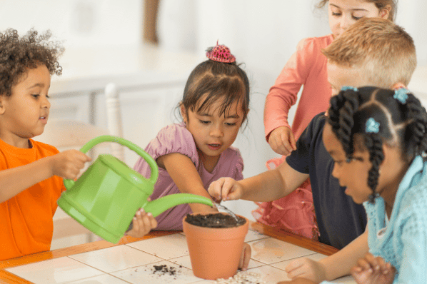 Four preschool children planting and watering a see in a terracotta pot.