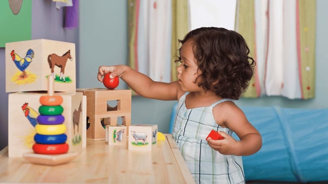 A Childcare Provider's Guide to Implementing the RIE® Method