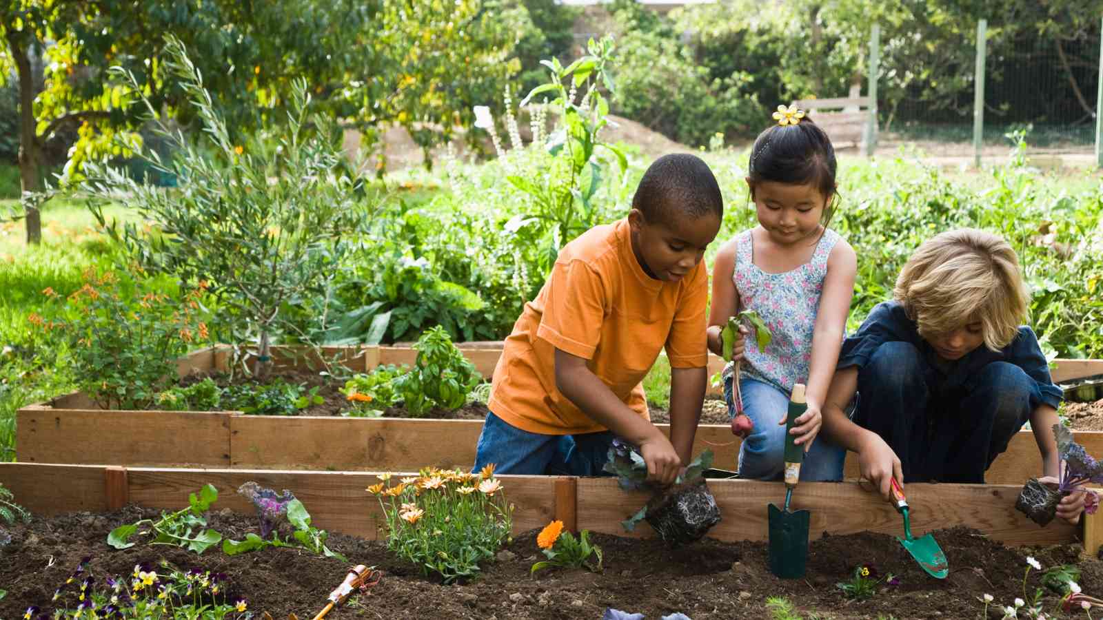 Sunshine Room Planting, Children's Vegetable Planting Toys